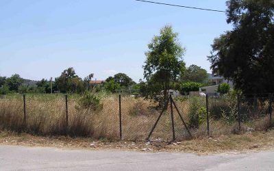 ΚΑΘΑΡΙΣΜΟΣ ΣΤΑ ΟΙΚΟΠΕΔΑ, ΑΛΛΙΩΣ ΠΡΟΣΤΙΜΑ ΣΤΟΥΣ ΙΔΙΟΚΤΗΤΕΣ ΑΠΟ ΤΟΥΣ ΔΗΜΟΥΣ