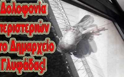 ΣΥΣΤΗΜΑ ΔΟΛΟΦΟΝΙΑΣ ΤΩΝ ΠΕΡΙΣΤΕΡΙΩΝ ΜΕ ΚΑΡΦΙΑ ΑΠΟ ΤΗ ΔΗΜΟΤΙΚΗ ΑΡΧΗ ΓΛΥΦΑΔΑΣ