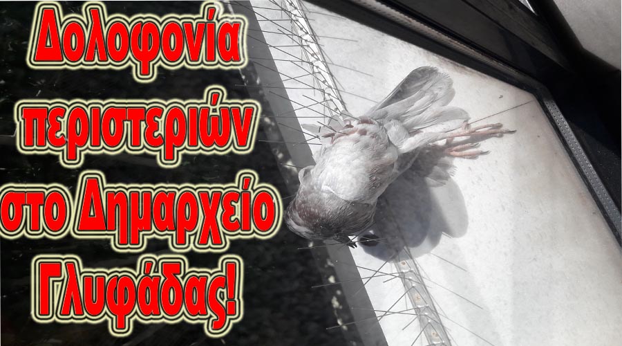 ΣΥΣΤΗΜΑ ΔΟΛΟΦΟΝΙΑΣ ΤΩΝ ΠΕΡΙΣΤΕΡΙΩΝ ΜΕ ΚΑΡΦΙΑ ΑΠΟ ΤΗ ΔΗΜΟΤΙΚΗ ΑΡΧΗ ΓΛΥΦΑΔΑΣ