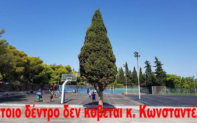 ΜΕΝΟΣ Ή ΜΙΣΟΣ ΕΧΕΙ Ο ΔΗΜΑΡΧΟΣ ΤΩΝ 3Β ΜΕ ΤΟ ΠΡΑΣΙΝΟ;