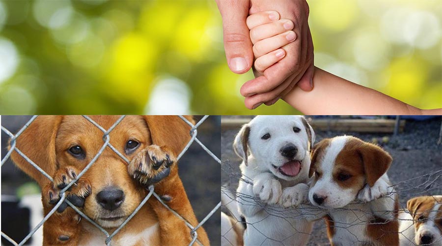 ΕΝΑΣ ΑΘΟΡΥΒΟΣ, ΚΑΛΟΣ ΣΑΜΑΡΕΙΤΗΣ ΑΝΑΜΕΣΑ ΜΑΣ